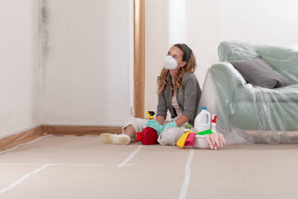 Reliable Crawl Space Mold Removal contractor in Shermans Dale, PA by WQB Mold Removal
