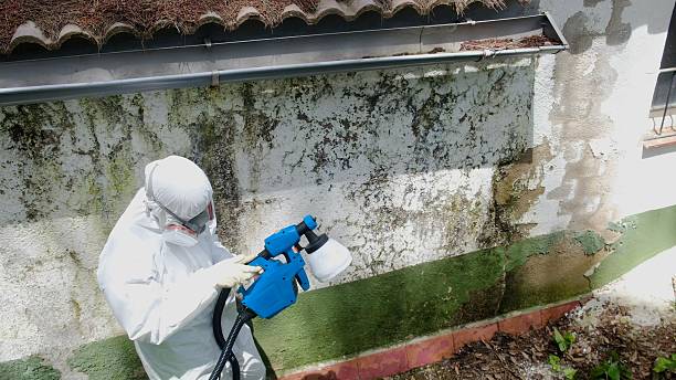 Top rated local Crawl Space Mold Removal specialists in Shermans Dale, PA